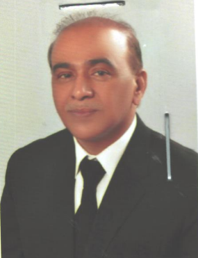 Noor Muhammad Mirza