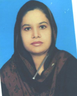 MUHAMMAD HANAN SAEED