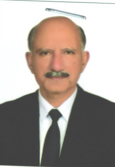 MUHAMMAD ANWAR UL HA