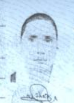 NAVEELA SHAHZIA